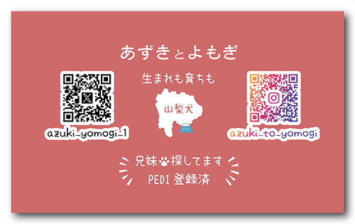 長方形ペット名刺の裏面画像