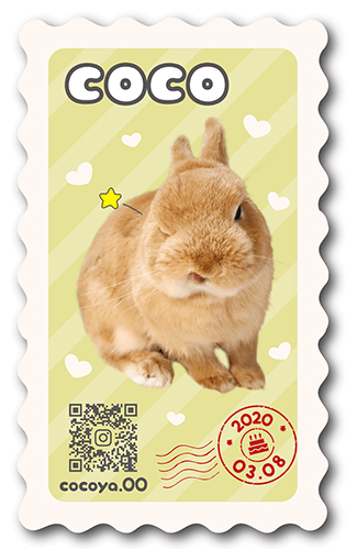 型抜きペット名刺の表面画像