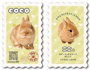 ペンギンのペット名刺