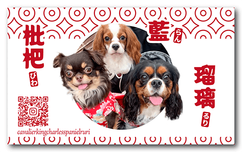 長方形ペット名刺の表面画像