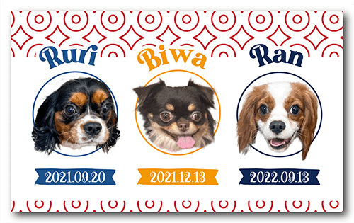 長方形ペット名刺の裏面画像