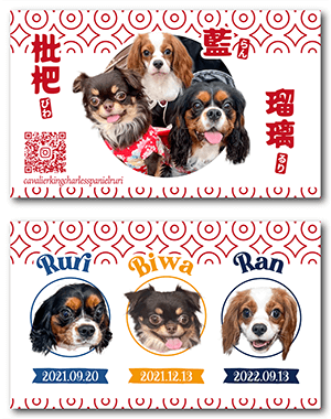 犬のペット名刺