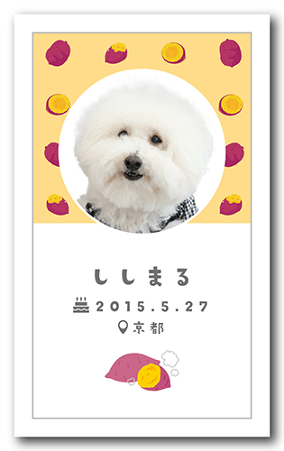 ペット名刺の表面画像