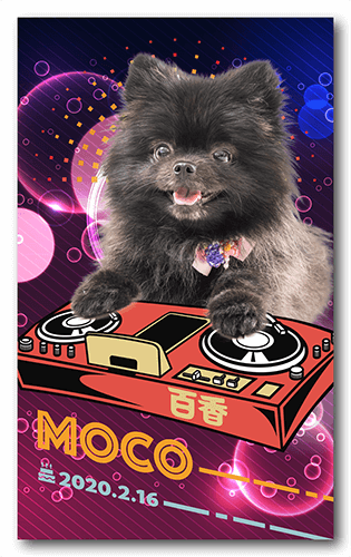 ペット名刺の表面画像