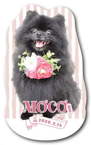 ペット名刺の表面画像