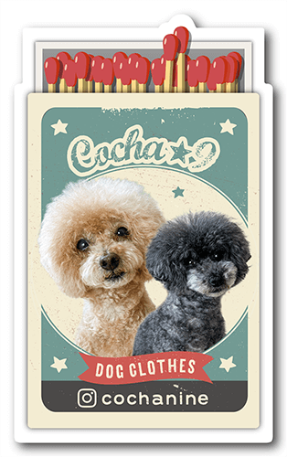 型抜きペット名刺の表面画像