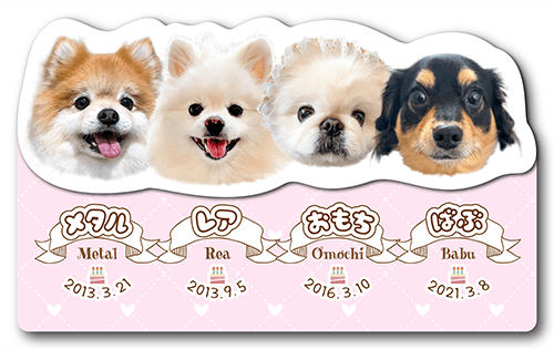 型抜きペット名刺の表面画像