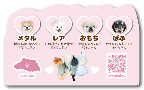 型抜きペット名刺の裏面画像