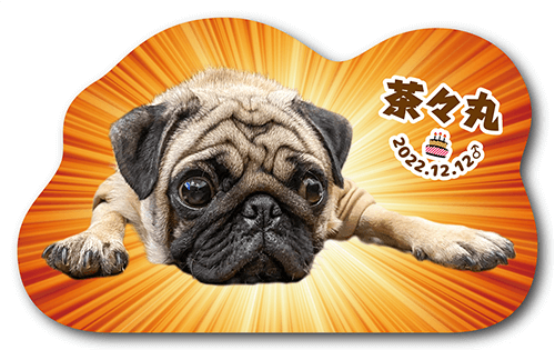 ペット名刺の表面画像