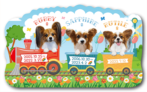 型抜きペット名刺の表面画像