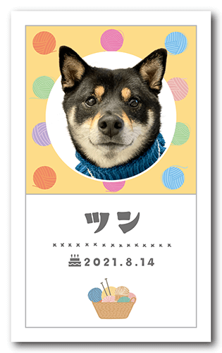 ペット名刺の表面画像