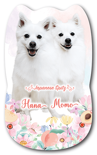 型抜きペット名刺の表面画像