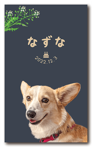 ペット名刺の表面画像