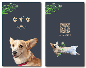 犬のペット名刺