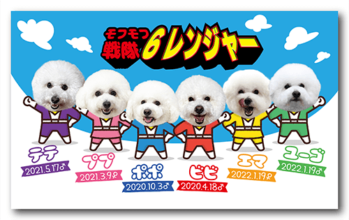 長方形ペット名刺の表面画像