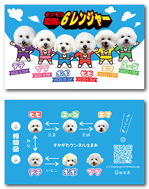 犬のペット名刺