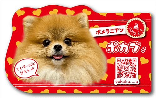 型抜きペット名刺の表面画像