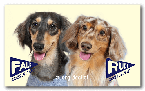 長方形ペット名刺の表面画像