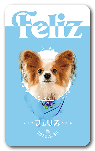 長方形ペット名刺の表面画像