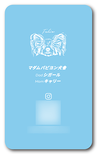 長方形ペット名刺の裏面画像
