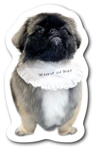 型抜きペット名刺の表面画像