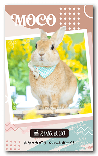 ペット名刺の表面画像