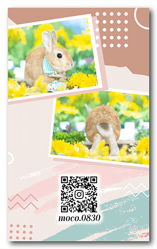 ペット名刺の裏面画像