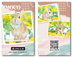 犬のペット名刺