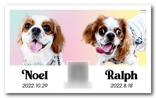 アイボの長方形ペット名刺画像