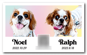 犬のペット名刺
