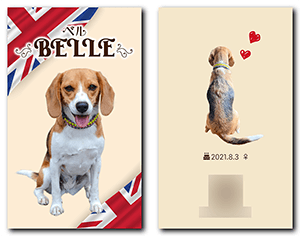 犬のペット名刺