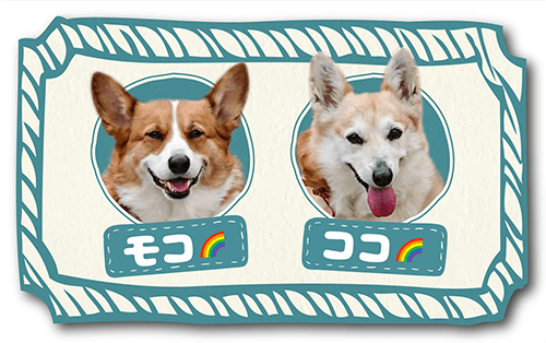 型抜きペット名刺の裏面画像