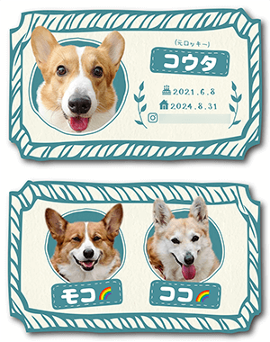 犬のペット名刺