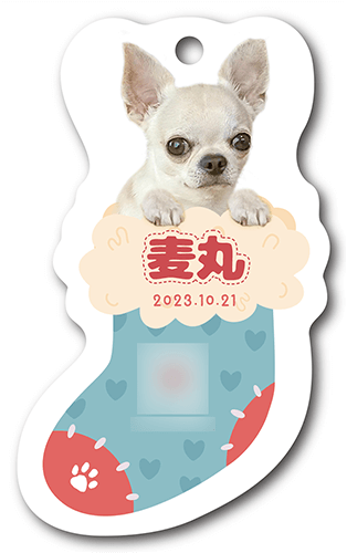 型抜きペット名刺の表面画像