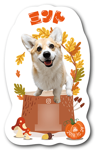 型抜きペット名刺の表面画像