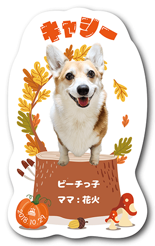 型抜きペット名刺の裏面画像