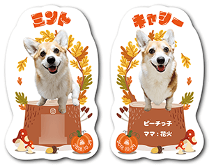 犬（多頭飼い）のペット名刺