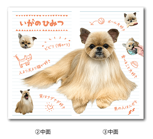 2つ折り型抜きペット名刺の中面画像