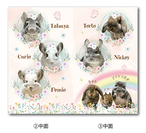 2つ折り型抜きペット名刺の中面画像