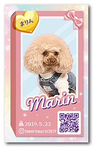 犬のペット名刺