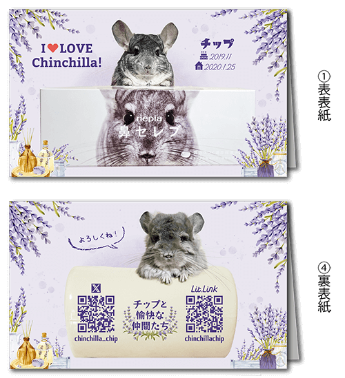 2つ折り型抜きペット名刺の外面画像