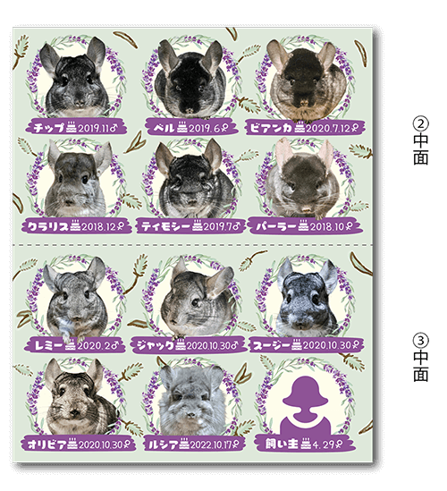 2つ折り型抜きペット名刺の中面画像