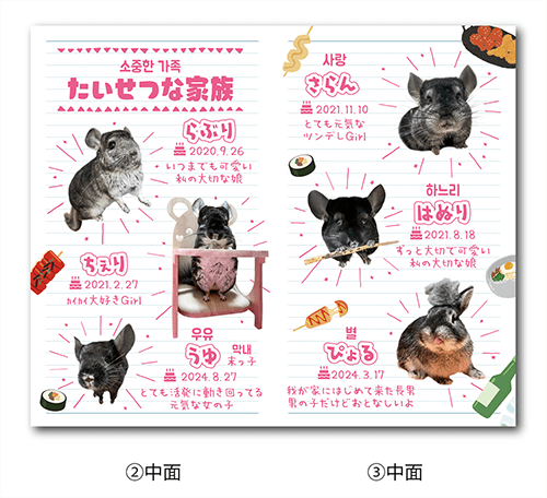 2つ折り型抜きペット名刺の中面画像