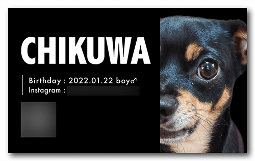 ペット名刺の表面画像