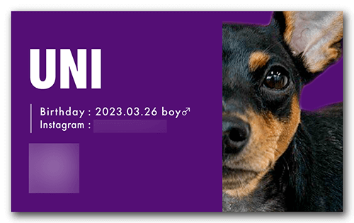 ペット名刺の裏面画像