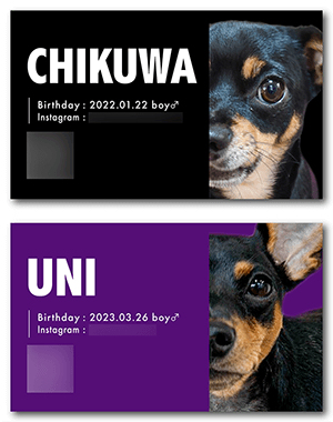 犬のペット名刺