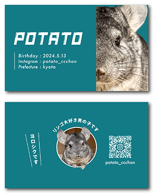 チンチラのペット名刺